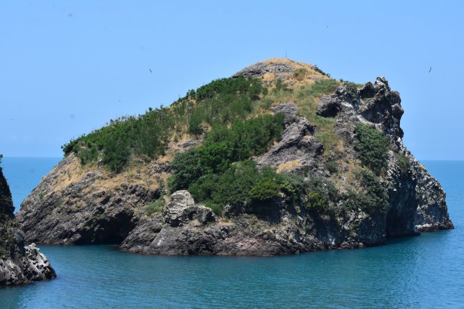 "Sakin şehrin" adası kuşlarıyla ilgi çekiyor