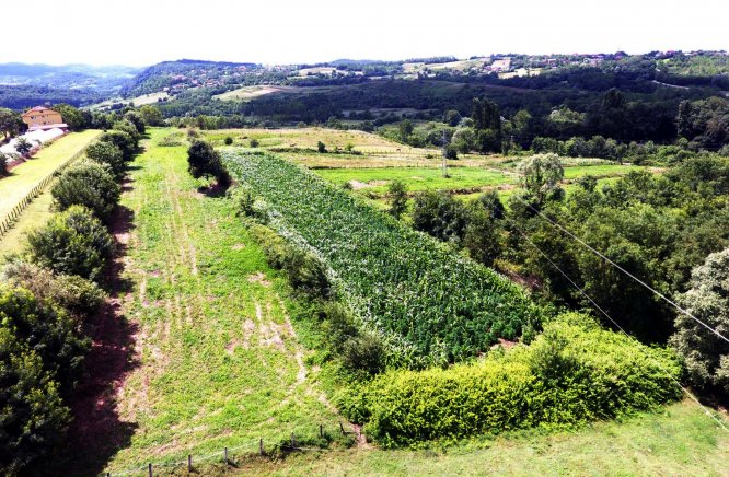 Zonguldak'taki uyuşturucu operasyonu