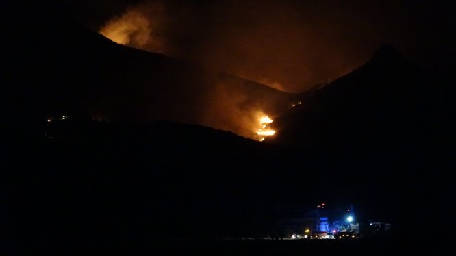 Adana'daki orman yangını