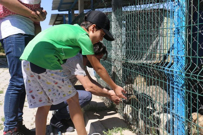 Hayvan severlerin barınak ziyareti