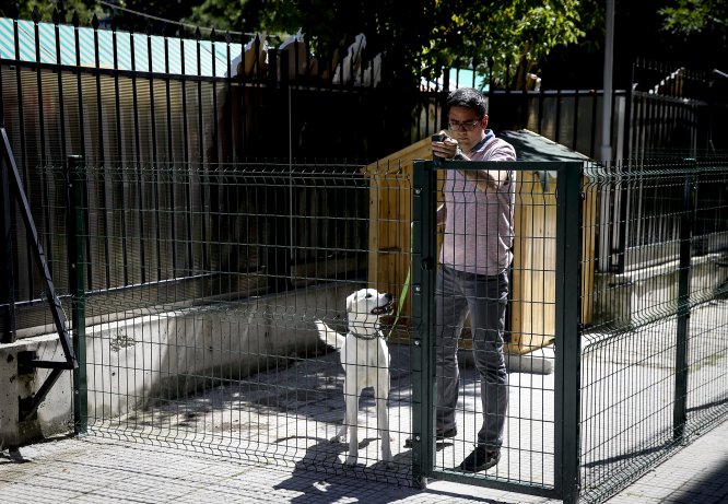 Bakan Selçuk'un sahiplendiği "Pergel" eğitimcilere emanet