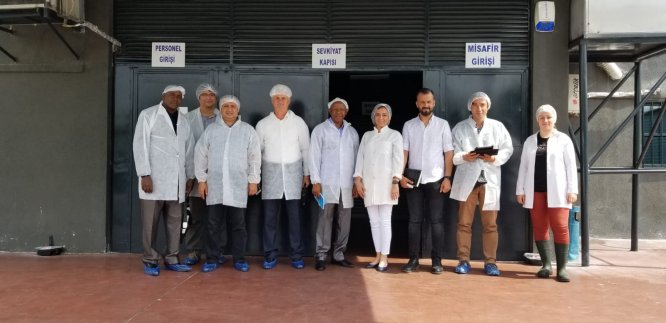 TİKA'dan Gine Hayvancılık Bakanlığı uzmanlarına eğitim