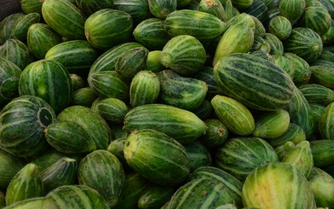 Viranşehirlilerden "şelengo" için patent başvurusu