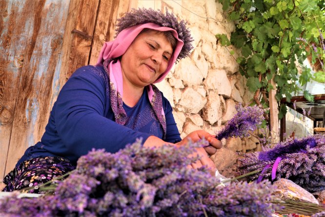 Kuyucaklı kadınların ekmek kapısı "lavanta"