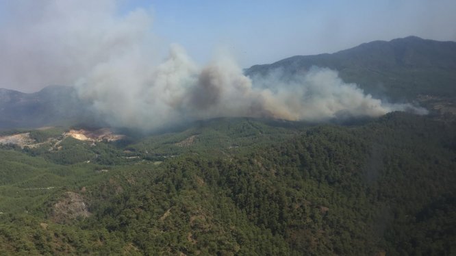 Muğla'da orman yangını