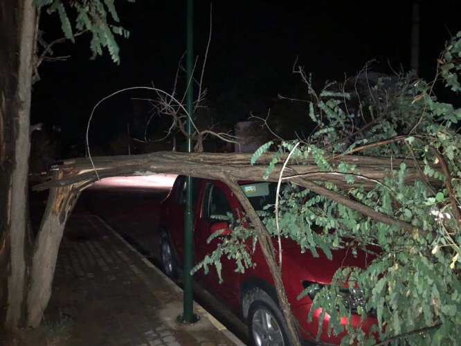 Ayvalık'taki hortum sitede büyük hasara yol açtı