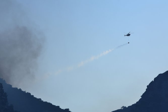 Muğla'daki orman yangını