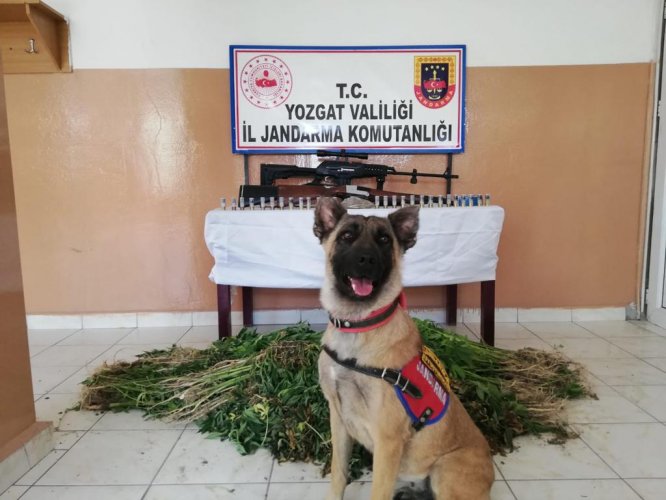 Yozgat'ta uyuşturucu operasyonu