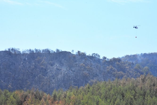 Muğla'daki orman yangını
