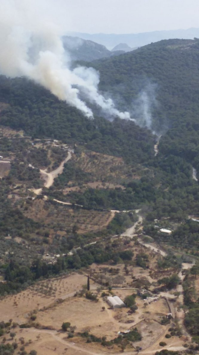 GÜNCELLEME - Bodrum'da orman yangını