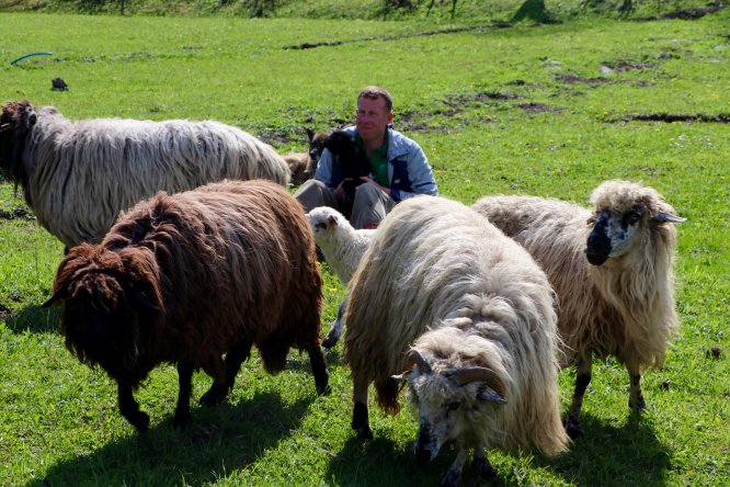 Huzuru Köyde Bulanlar - Muhasebeciliği bıraktı köyünde hayvancılık yapıyor