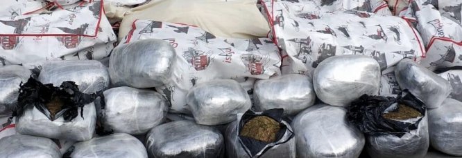 Batman'da bir tırda 1 ton esrar ele geçirildi