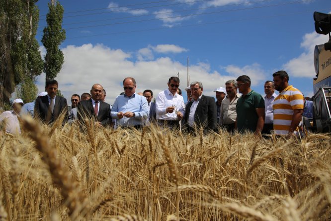Sivas'ta 'Tarla Günü' etkinliği düzenlendi