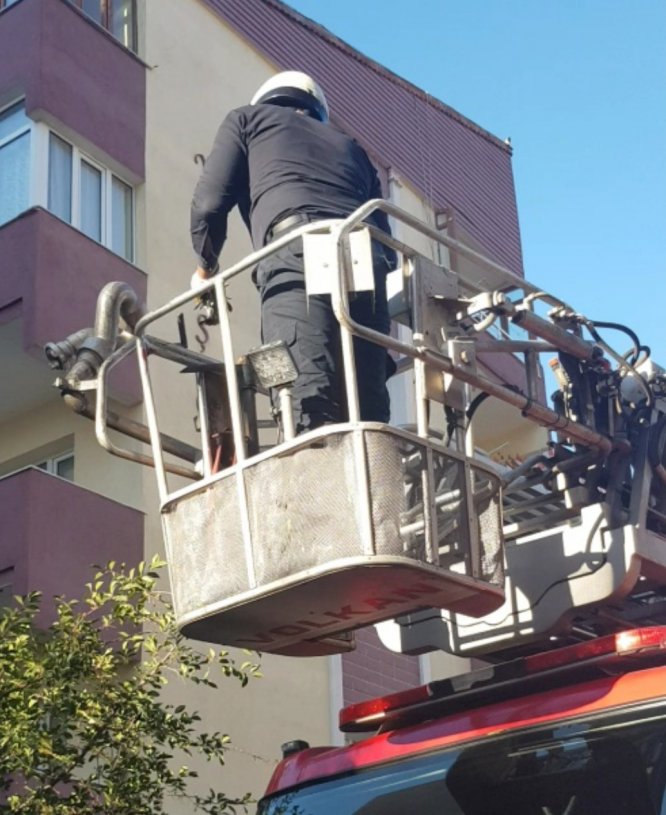 Karga yavrusunun imdadına itfaiye yetişti