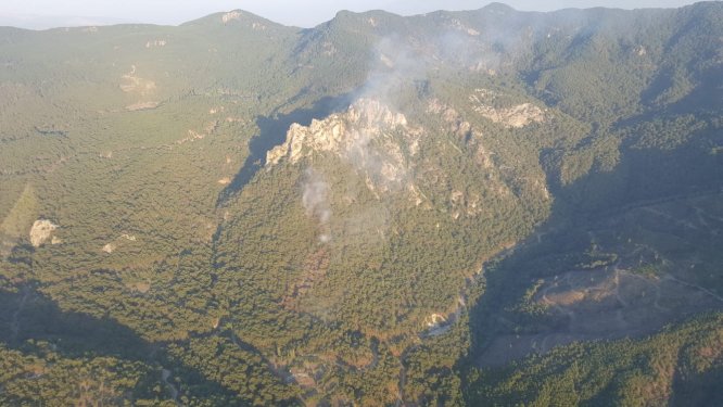 GÜNCELLEME - İzmir'de orman yangını