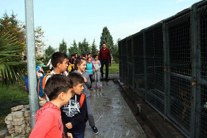 Beypazarı'ndan kısa kısa