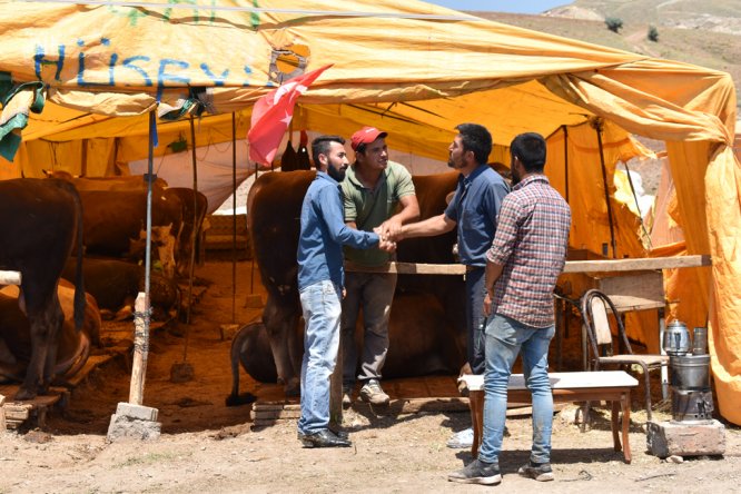 Sivas'ta pazar yerinde kurbanlık satışları başladı