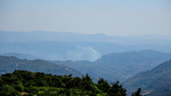 Suriye sınırında orman yangını