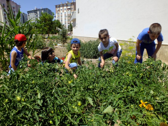 Öğrenciler zamanlarını hobi bahçesinde geçiriyor
