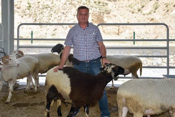 Beypazarı'nda yeni açılan hayvan pazarı ilgi gördü