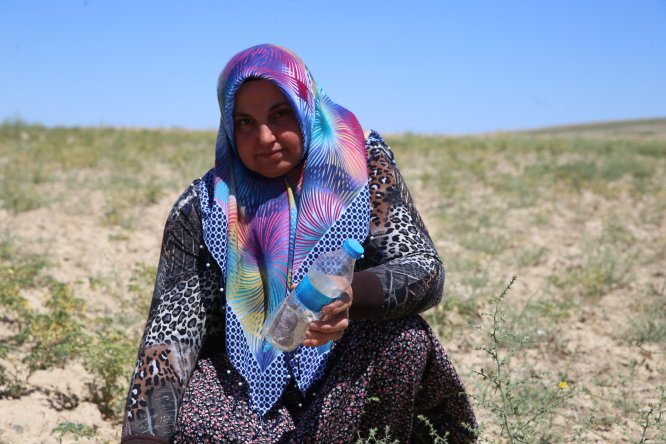 Tarladan nohut aldı, parasını pet şişe içinde bıraktı