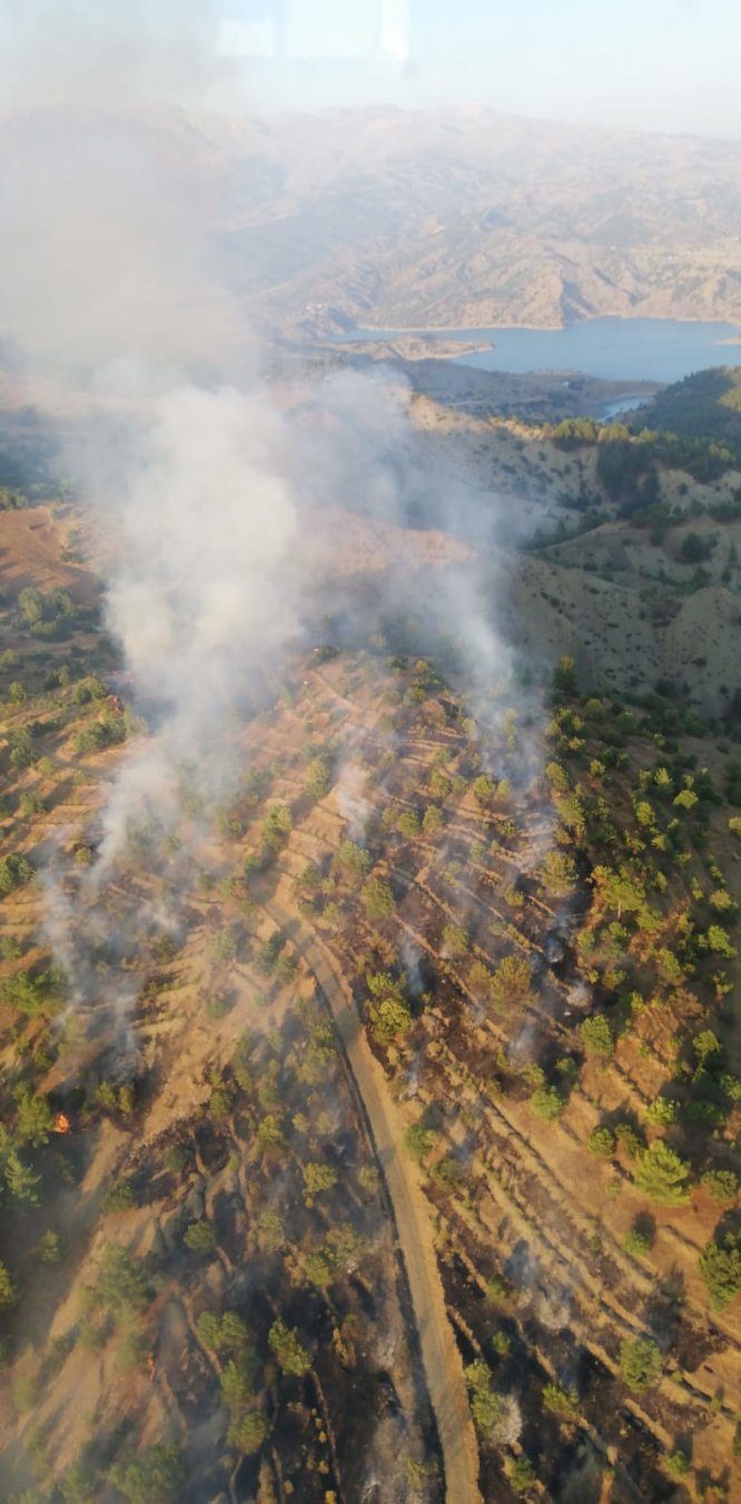 Kahramanmaraş'ta orman yangını