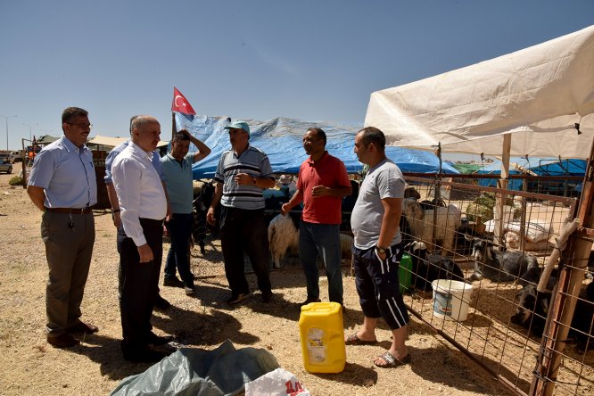Karaman Valisi Meral, kurban pazarını gezdi