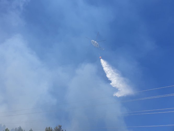 GÜNCELLEME - Balıkesir'de orman yangını