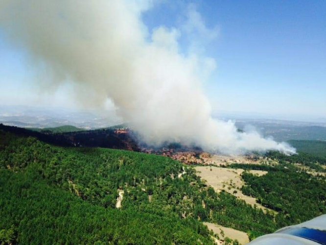GÜNCELLEME 2 - Balıkesir'de orman yangını