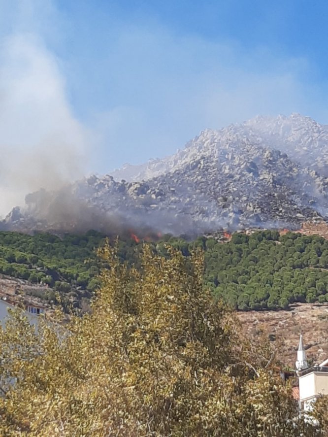 GÜNCELLEME 3 - Balıkesir'de orman yangını