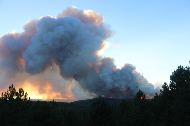 GÜNCELLEME - Kütahya'da orman yangını