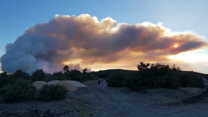 Kütahya'da orman yangını