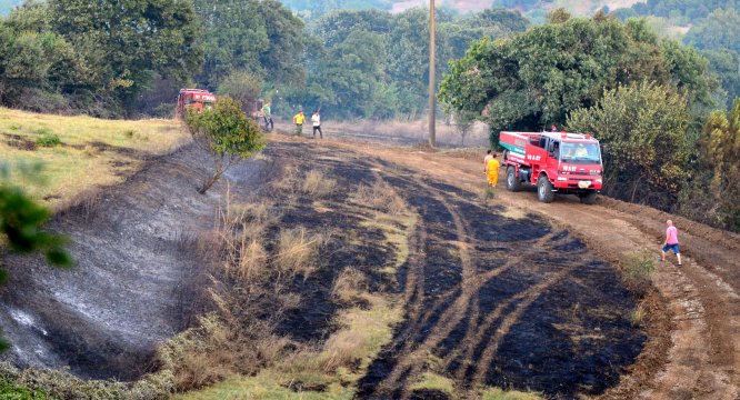 Çanakkale'deki orman yangını