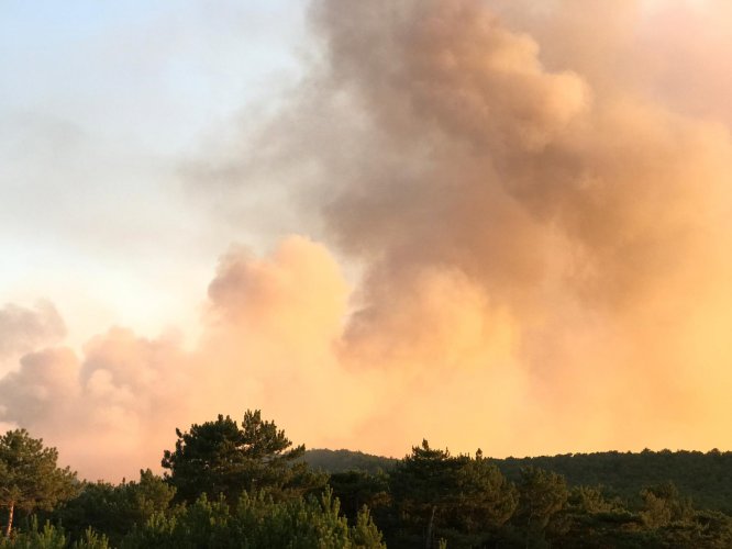 GÜNCELLEME - Eskişehir'de orman yangını