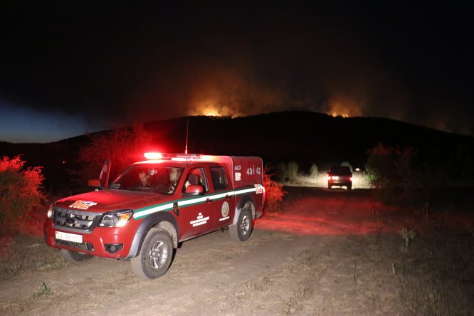 Kütahya'daki orman yangını