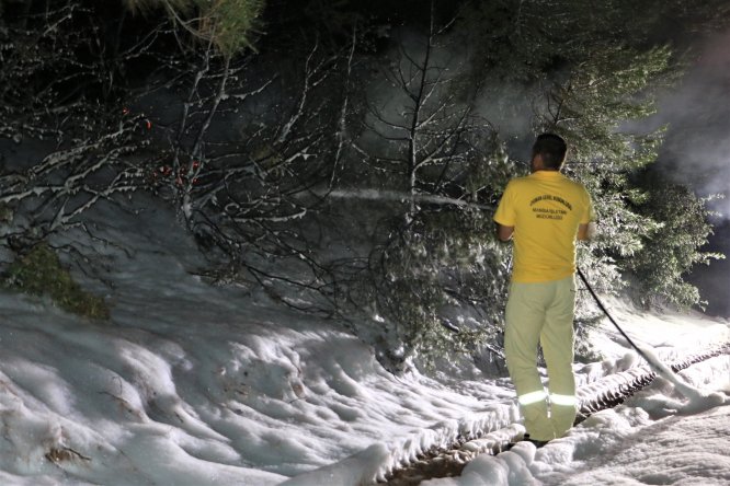 Manisa'da orman yangını