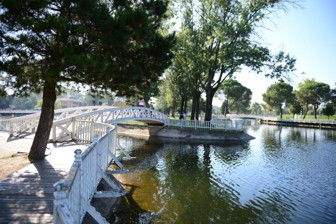 GÜNCELLEME - Sakarya'da süs havuzunda erkek cesedi bulundu