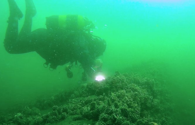 Depremin izlerini su altında görüyorlar