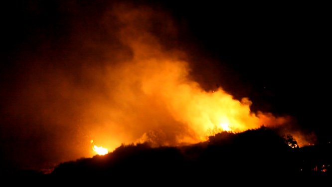 Aydın'da makilik alanda yangın