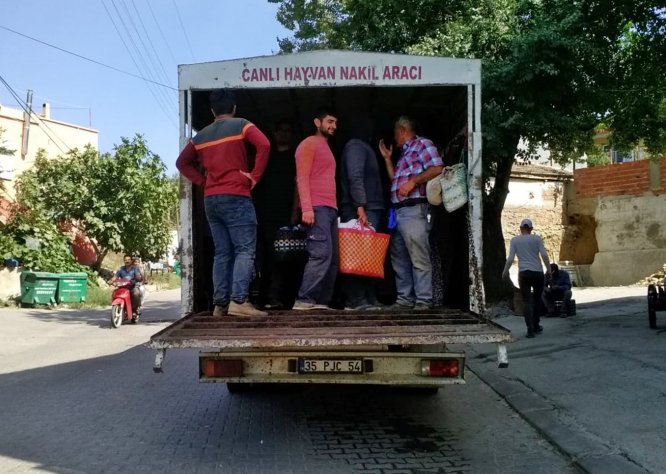 Kamyonet kasasında 23 işçi taşıyan sürücüye ceza