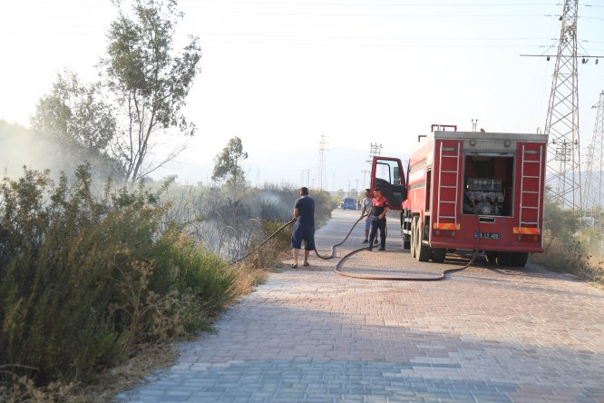 Makilik alandaki yangında mahsur kalan bukalemunu itfaiye kurtardı