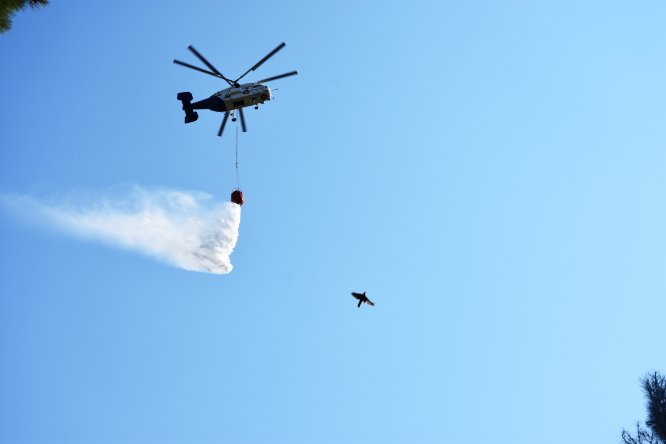 GÜNCELLEME 2 - Marmaris'te orman yangını