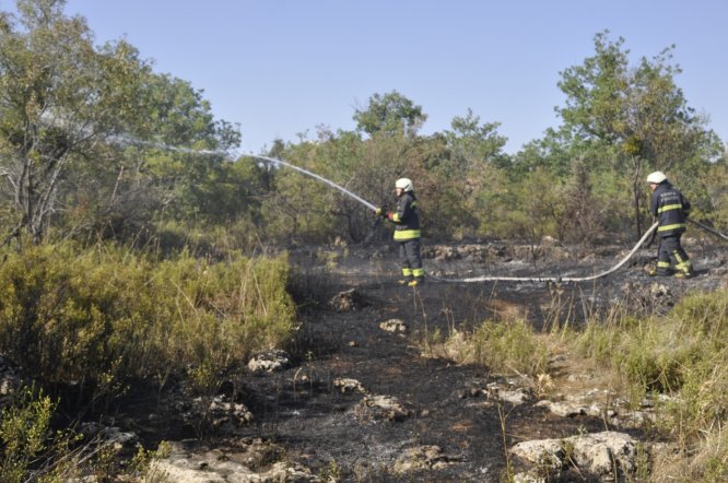 Seydişehir'de meyve bahçesinde yangın