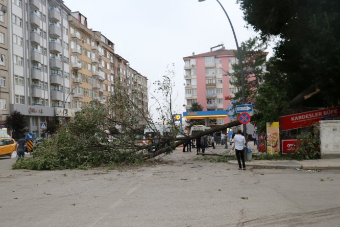 Elazığ'da sağanak ve fırtına etkili oldu
