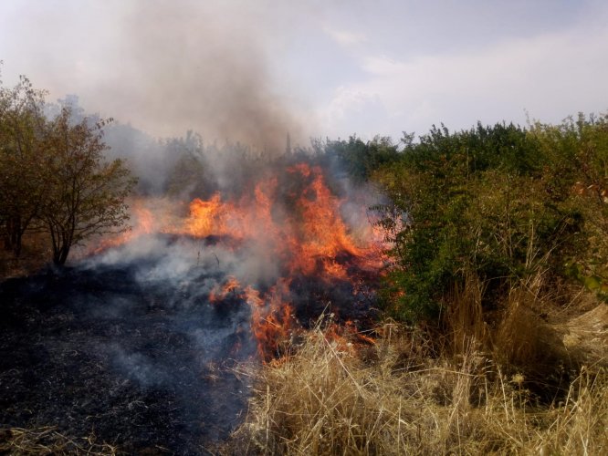 Malatya'da 5 mahallede çıkan yangında 170 dekar alan zarar gördü