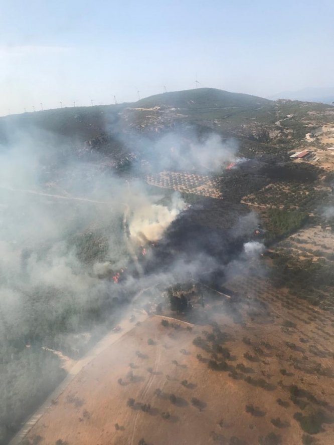 GÜNCELLEME - İzmir'de makilik alanda yangın