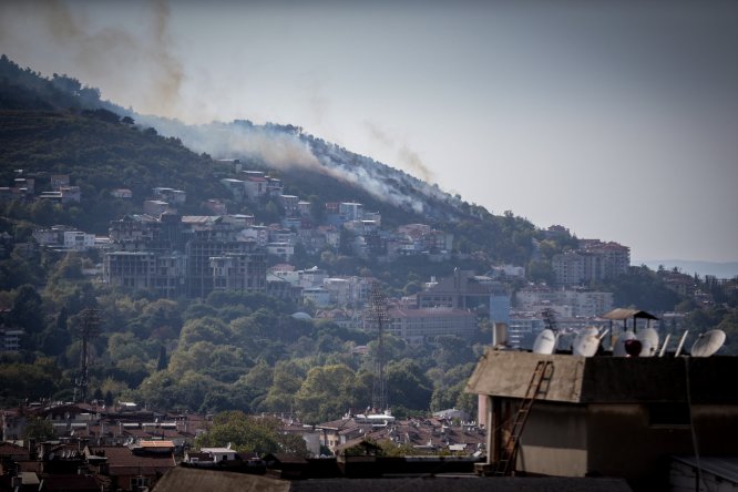 GÜNCELLEME - Bursa'da ormanlık alanda yangın