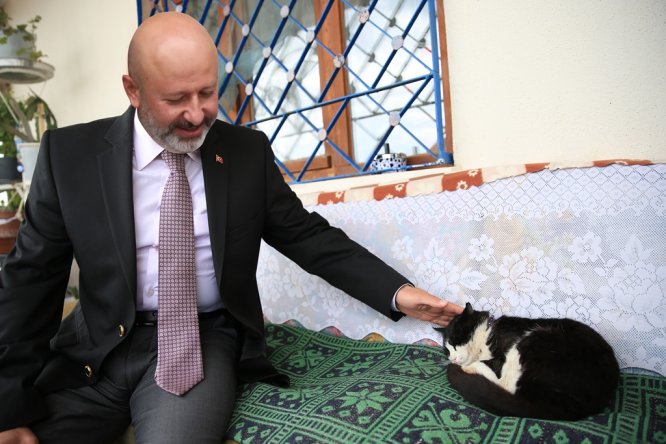 Bayat ekmekler sokak hayvanlarının yemeği oluyor