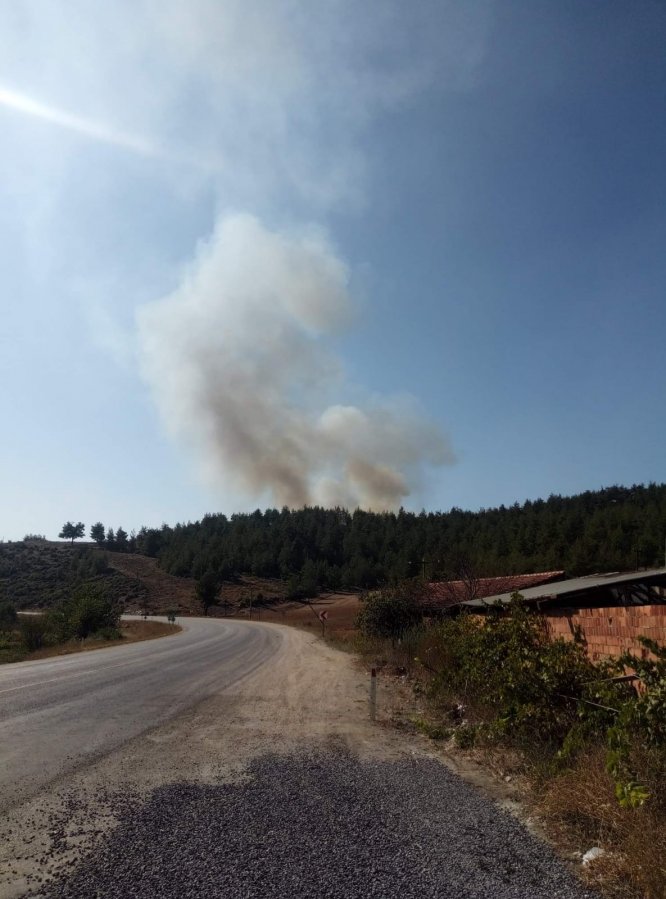 GÜNCELLEME - Bursa'da orman yangını
