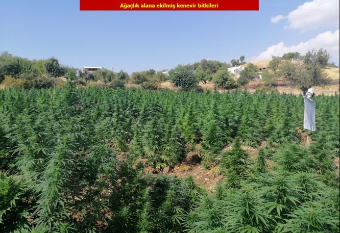 Diyarbakır'da terör örgütü PKK'ya "uyuşturucu" darbesi